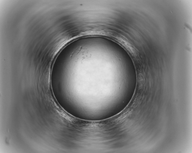 X0000093381228200710251209