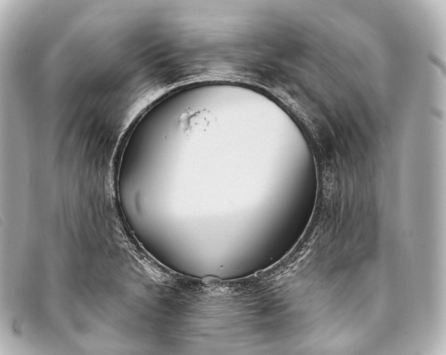 X0000093381230200710251209