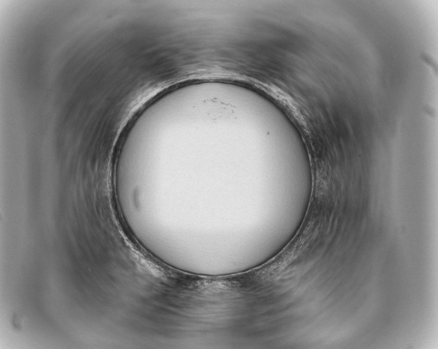 X0000093381231200710251209