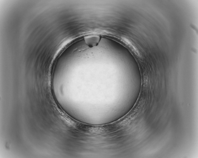 X0000093381232200710251209