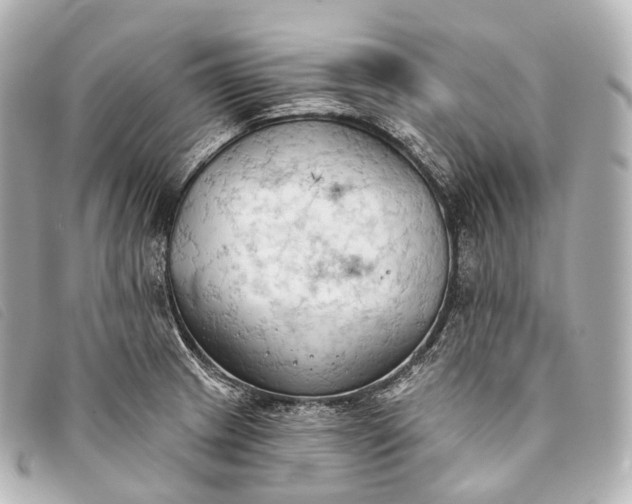 X0000093381233200710251209