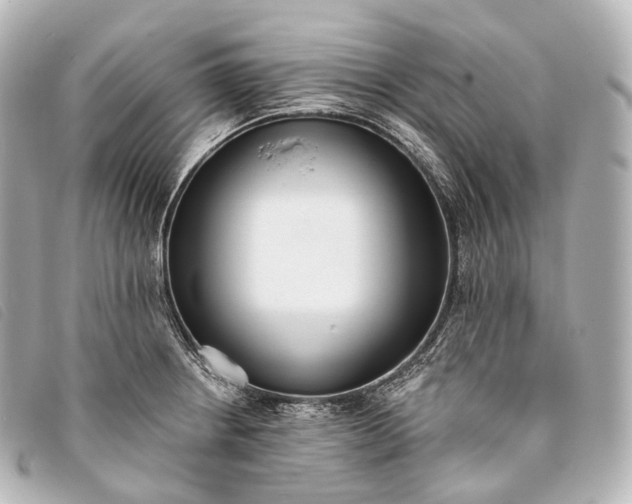 X0000093381234200710251209