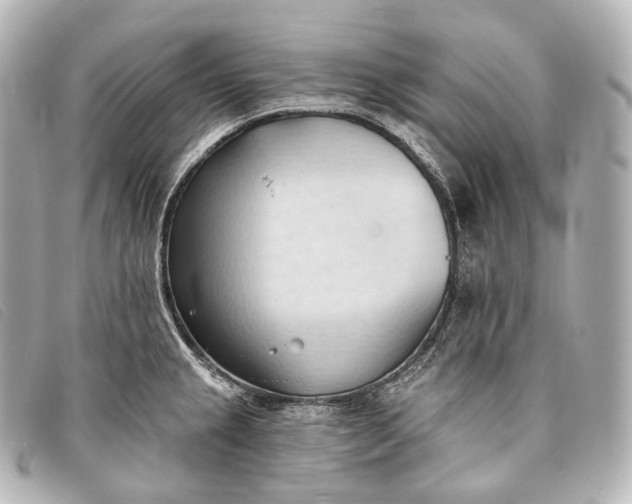 X0000093381237200710251209