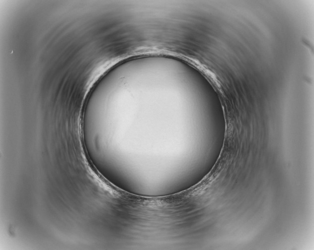 X0000093381239200710251209