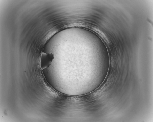 X0000093381241200710251209