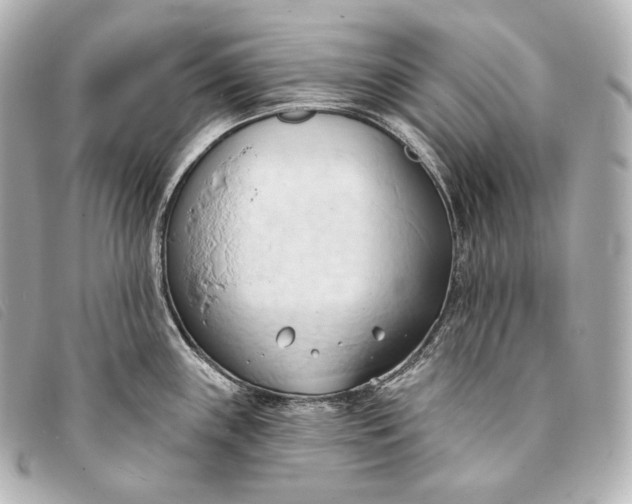 X0000093381243200710251209