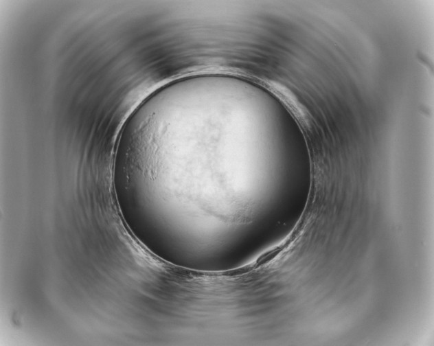 X0000093381244200710251209