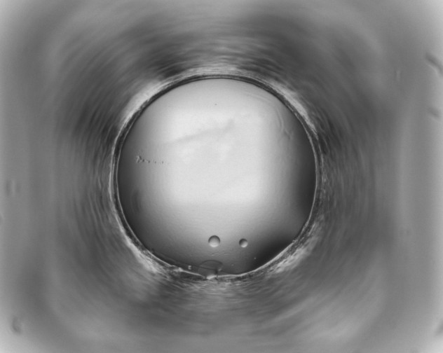 X0000093381245200710251209