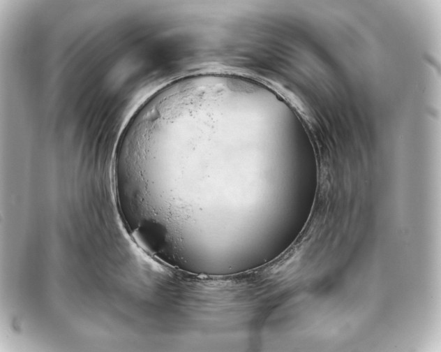 X0000093381247200710251209