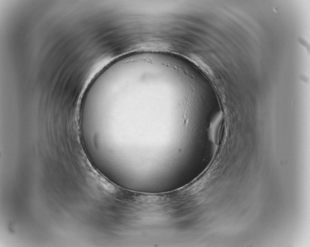 X0000093381248200710251209