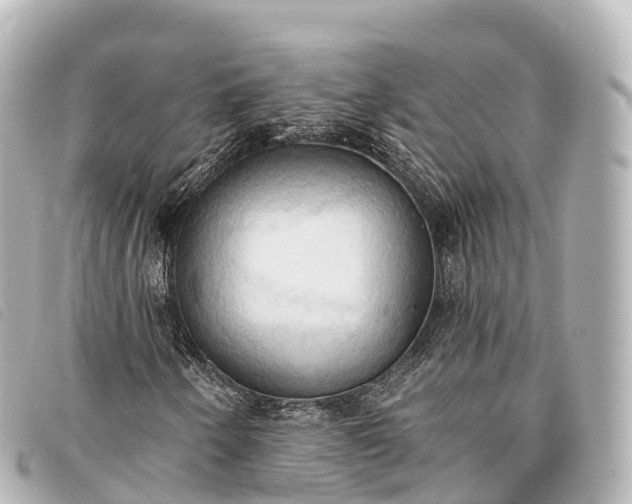 X0000093381250200710251209