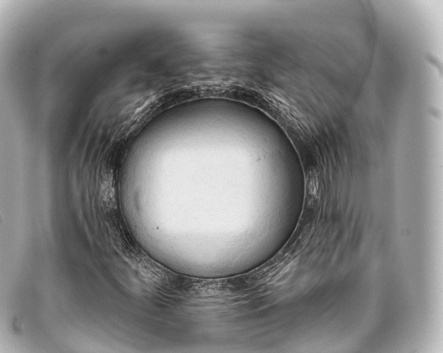 X0000093381252200710251209