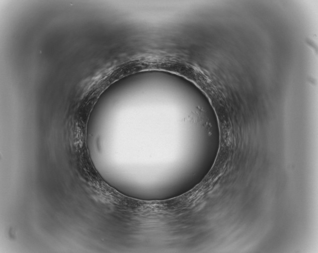 X0000093381253200710251209