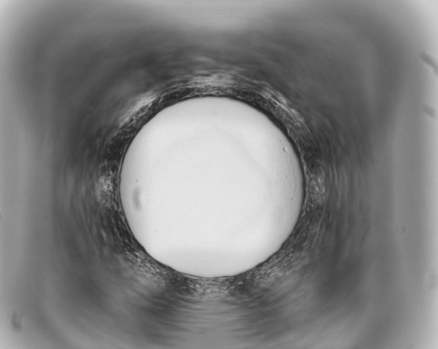 X0000093381254200710251209