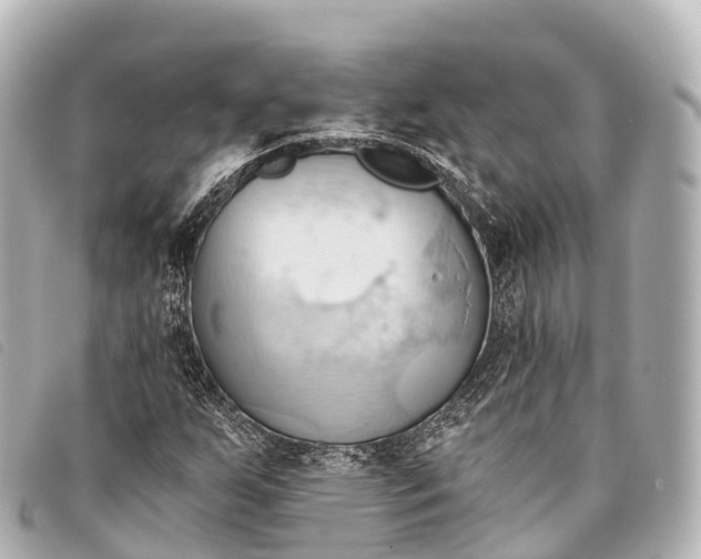 X0000093381255200710251209