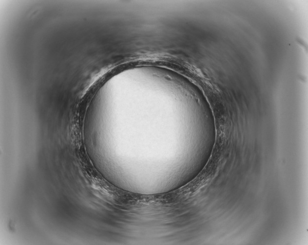 X0000093381256200710251209