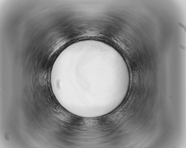 X0000093381258200710251209