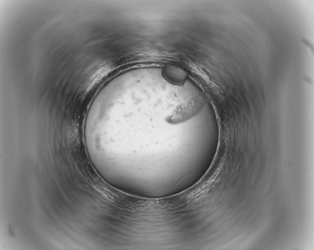 X0000093381259200710251209