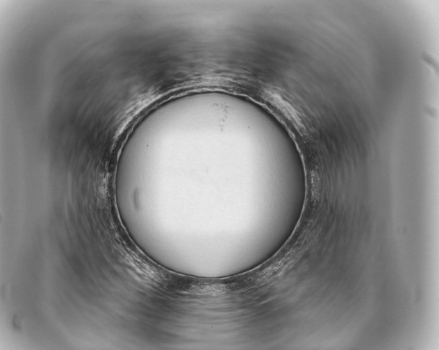 X0000093381260200710251208