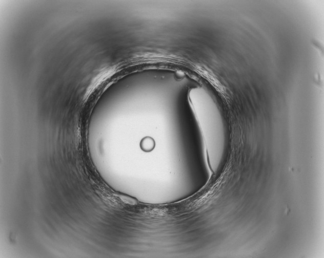 X0000093381261200710251208