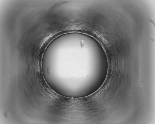 X0000093381262200710251208