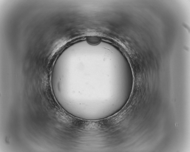 X0000093381263200710251208