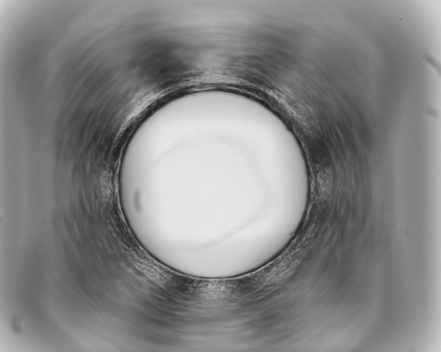 X0000093381266200710251208