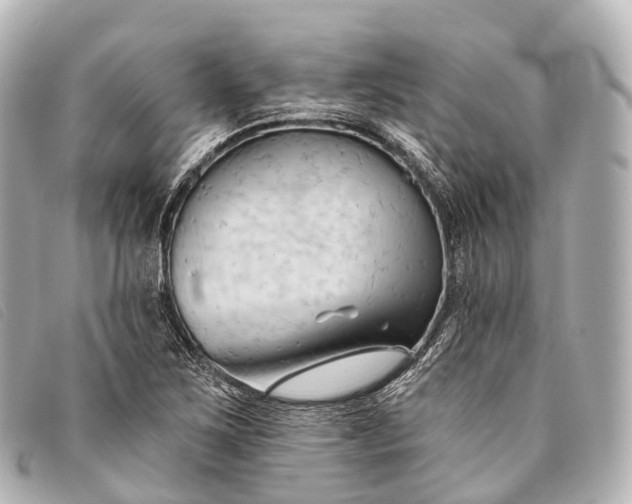 X0000093381267200710251208