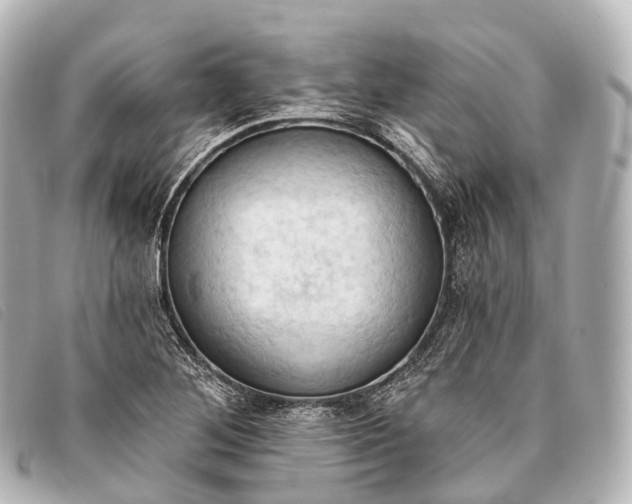 X0000093381268200710251208