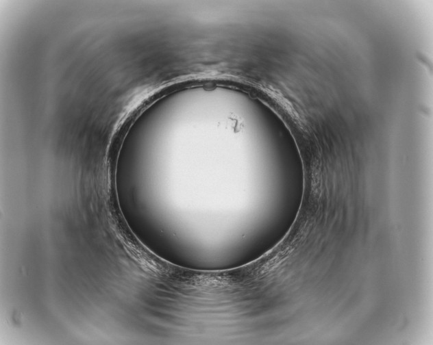 X0000093381270200710251208