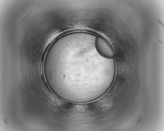 X0000093381271200710251208