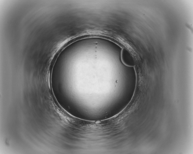 X0000093381272200710251208