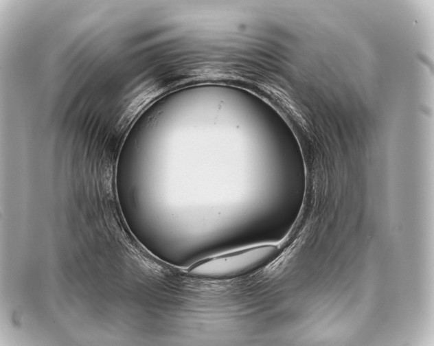 X0000093381273200710251208