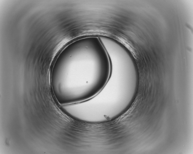 X0000093381275200710251208