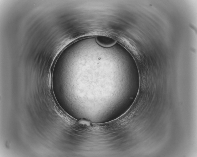 X0000093381276200710251208