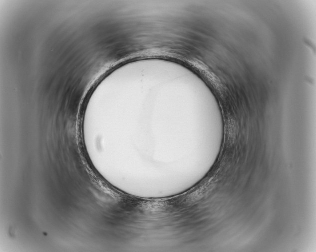 X0000093381278200710251208