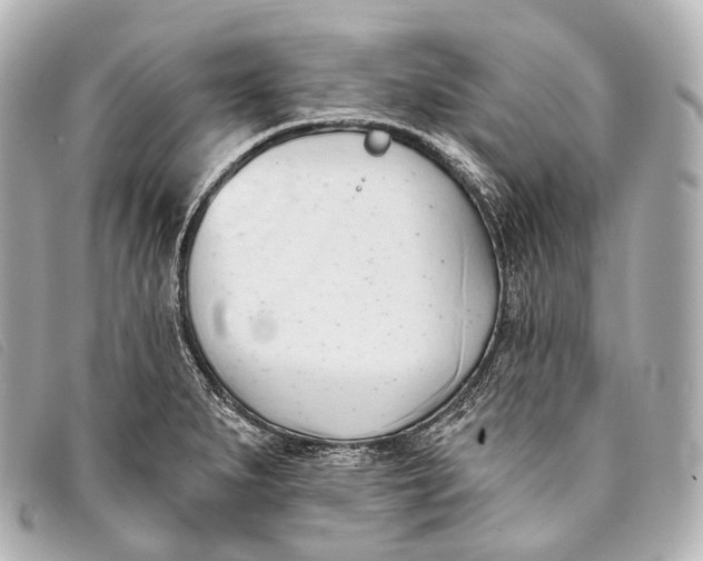 X0000093381279200710251208