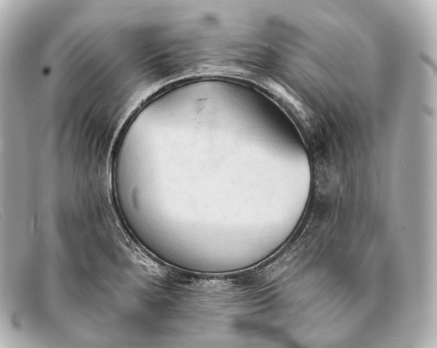 X0000093381280200710251208