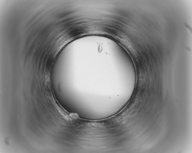 X0000093381281200710251208