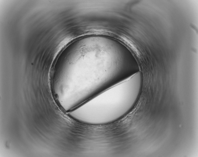 X0000093381283200710251208