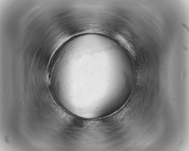 X0000093381284200710251208