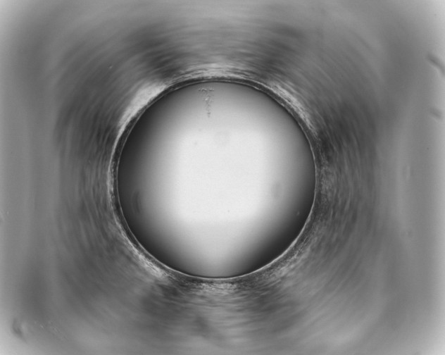 X0000093381285200710251208