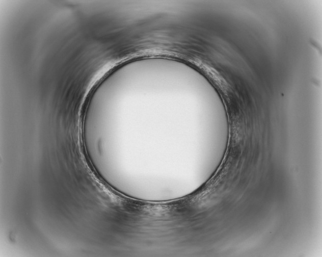 X0000093381286200710251208