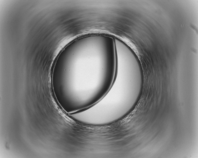 X0000093381287200710251208