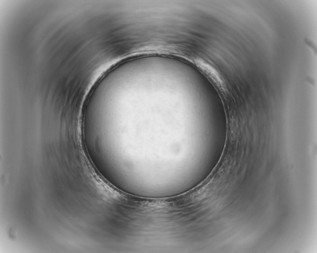 X0000093381288200710251208