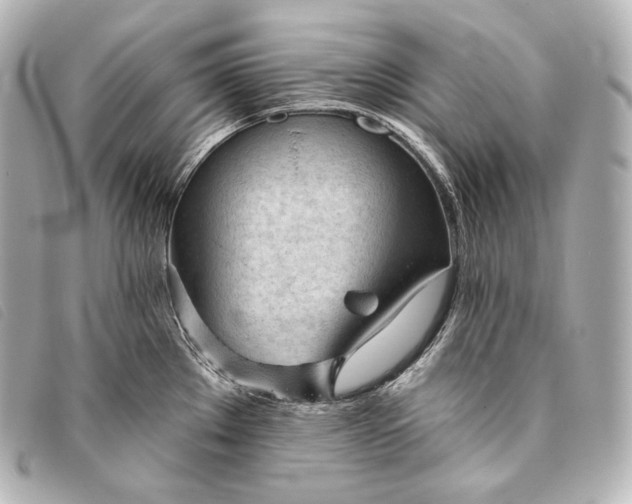 X0000093381289200710251208