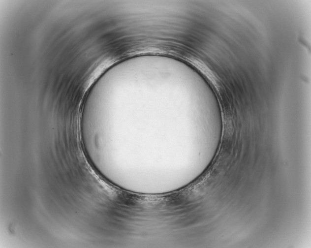 X0000093381290200710251208