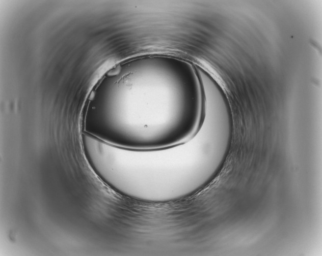 X0000093381291200710251208