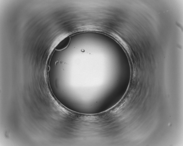 X0000093381293200710251208