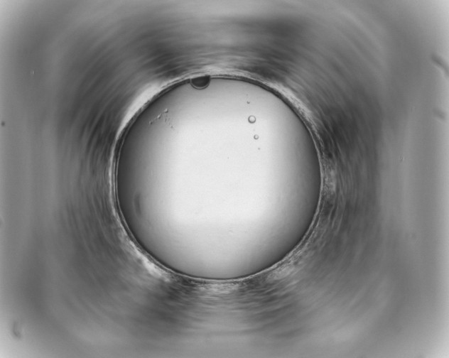 X0000093381294200710251208